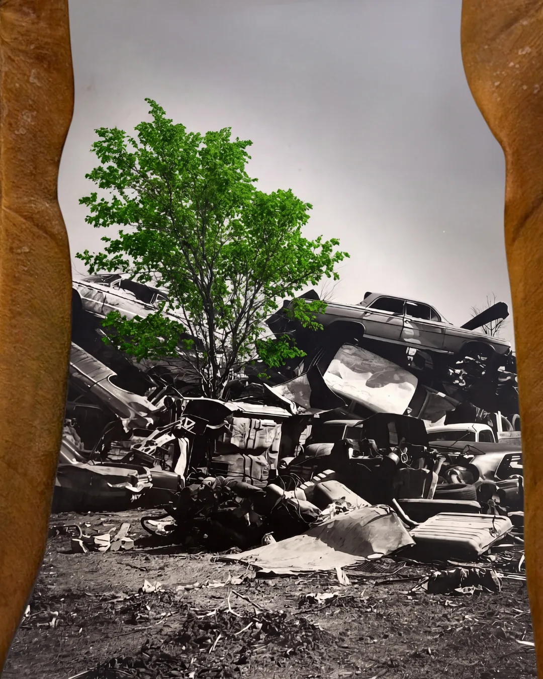 Junkyard tree artwork by Dylan Carnahan